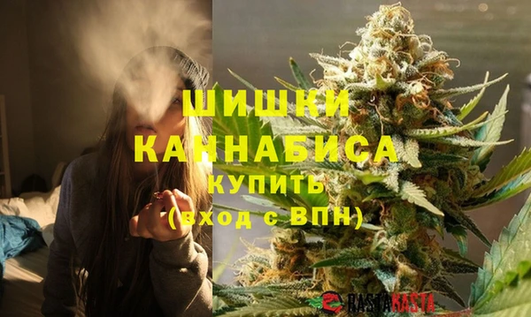 ГАЛЛЮЦИНОГЕННЫЕ ГРИБЫ Горняк