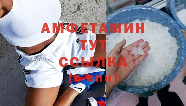 ГАЛЛЮЦИНОГЕННЫЕ ГРИБЫ Горняк