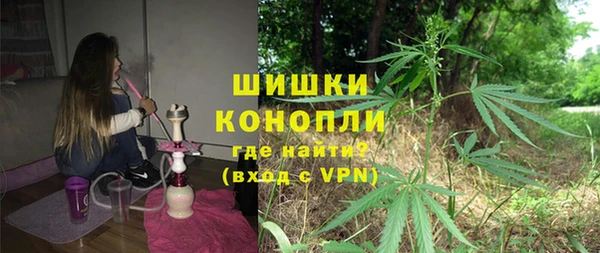 ГАЛЛЮЦИНОГЕННЫЕ ГРИБЫ Горняк