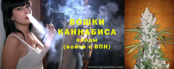 ГАЛЛЮЦИНОГЕННЫЕ ГРИБЫ Горняк