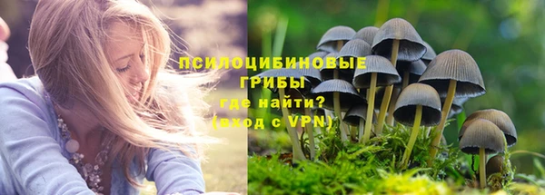 ГАЛЛЮЦИНОГЕННЫЕ ГРИБЫ Горняк