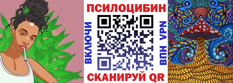 Купить закладки  Азнакаево  Галлюциногенные грибы Magic Shrooms 