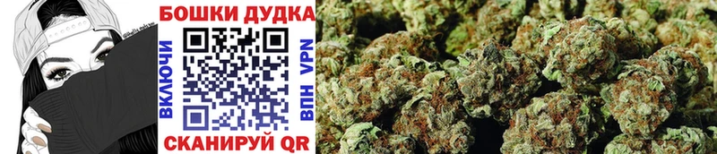 Марихуана план  Купить  Азнакаево 